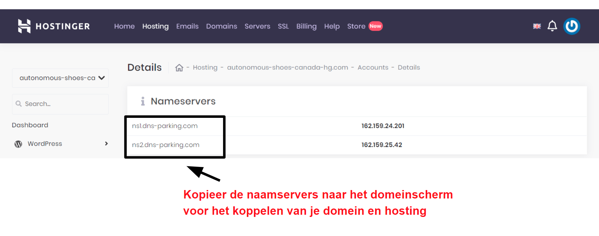 Hostinger domain connection information_NL