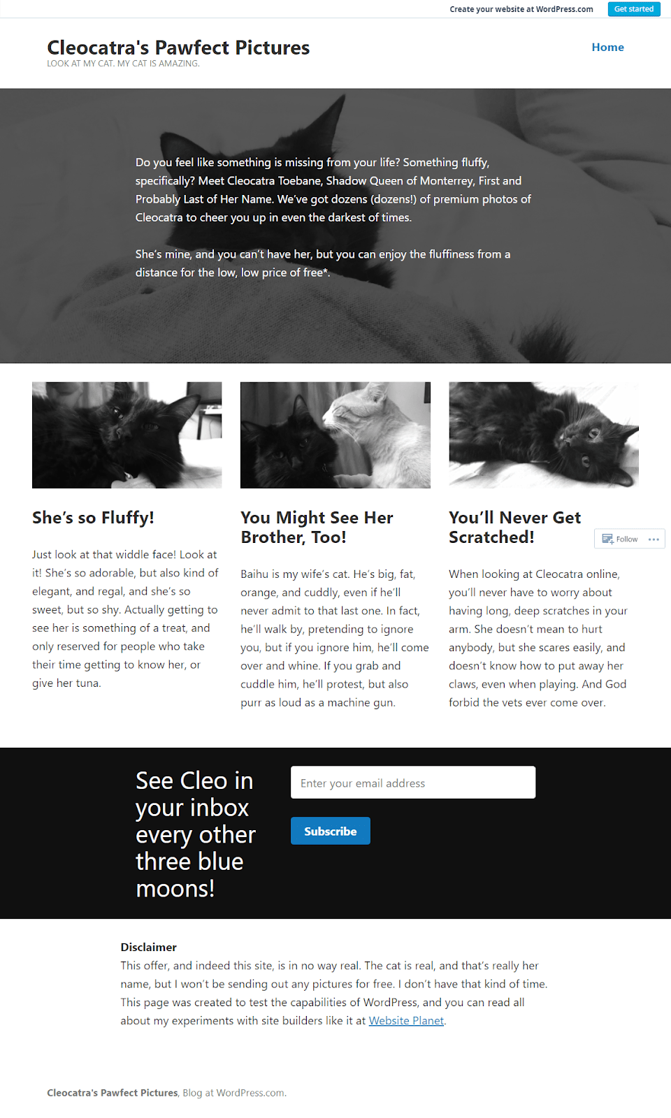 The final home page on WordPress, with all content copied in.