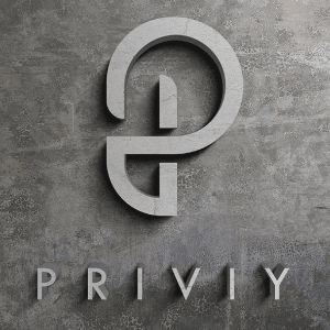 P logo - Priviy