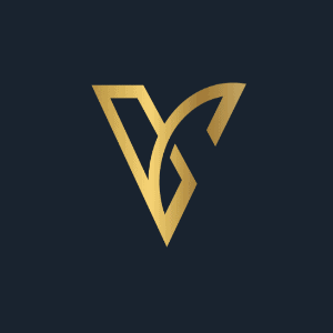V logo - V logo by Brand20identity