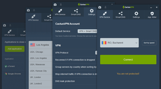 cactusvpn windows vpn app