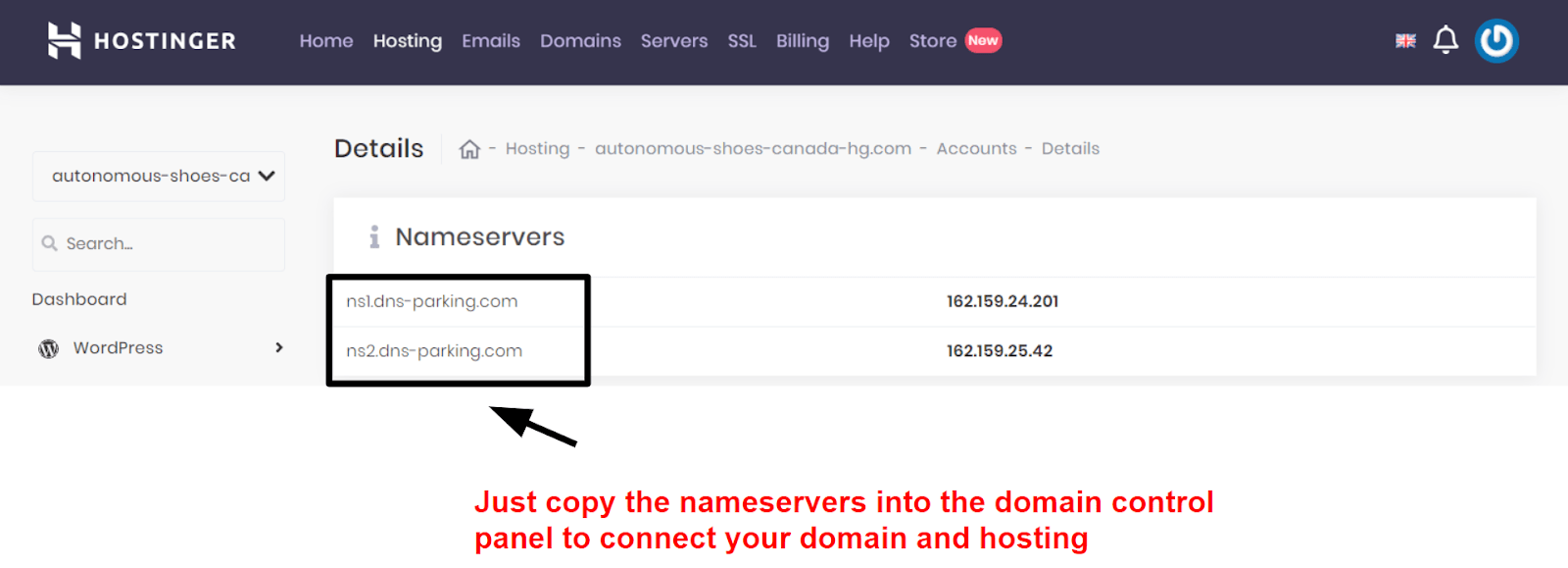Hostinger domain connection information