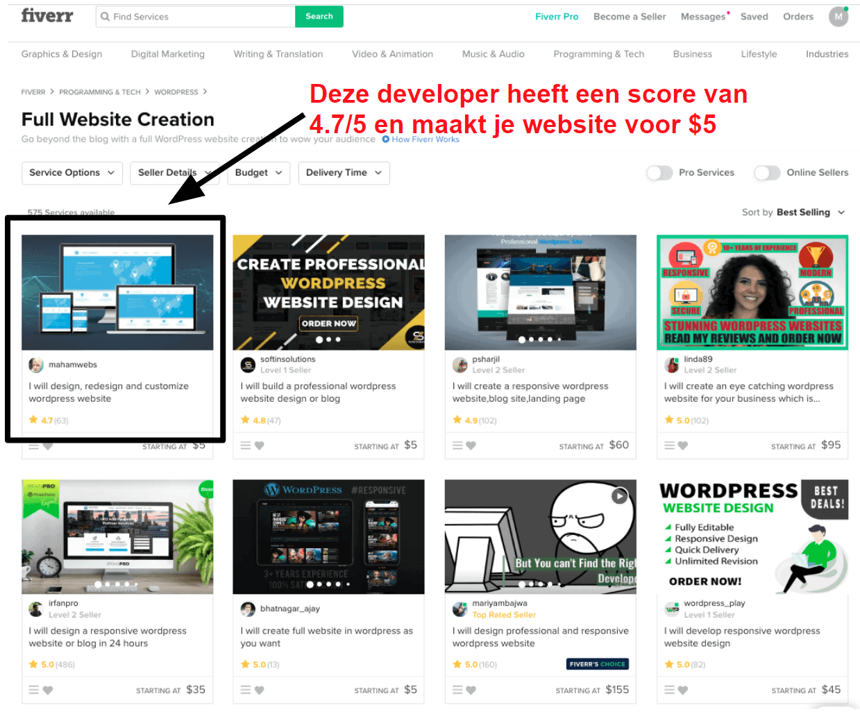 Low cost web developers on Fiverr NL25