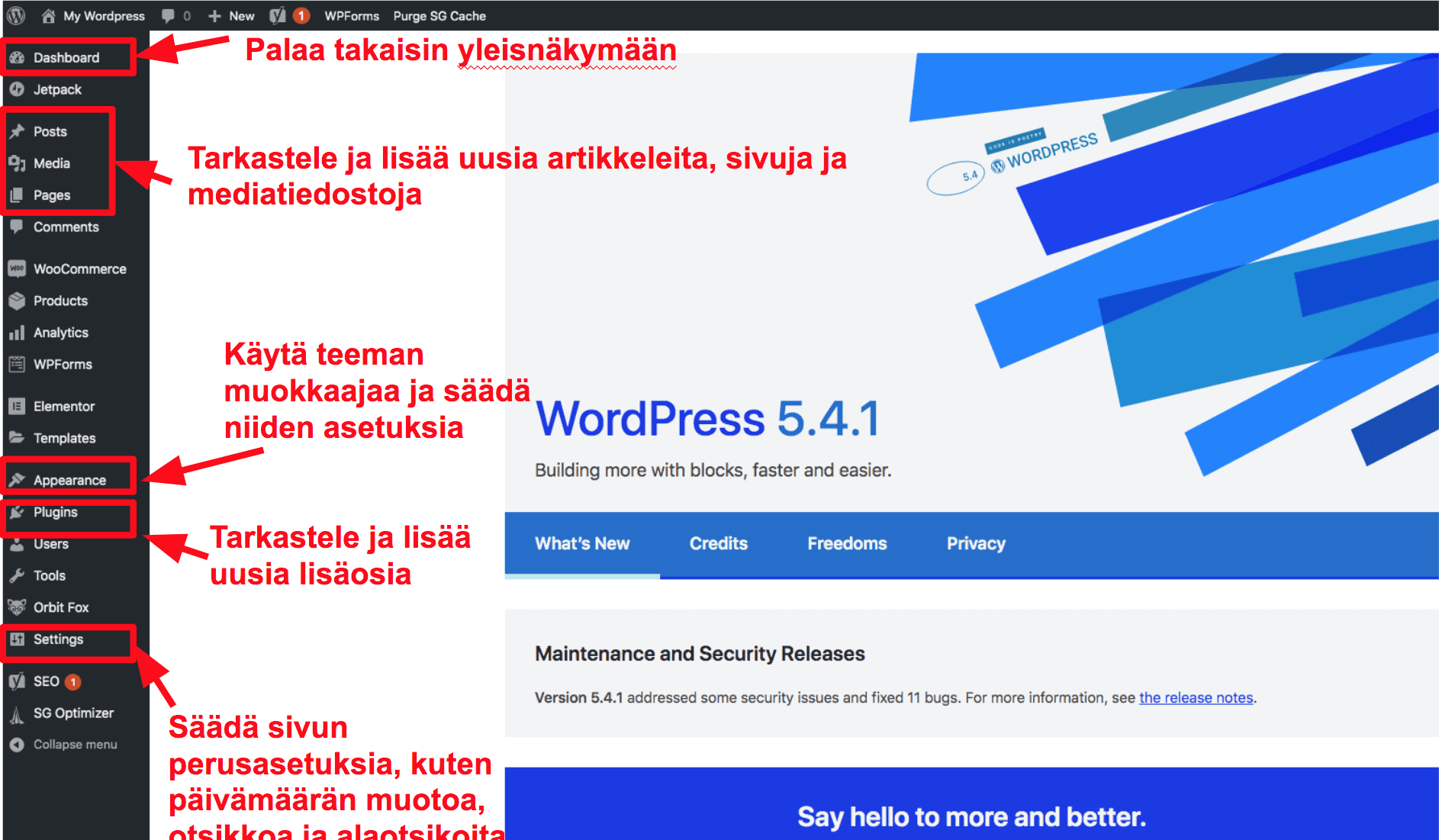 The WordPress dashboard FL16
