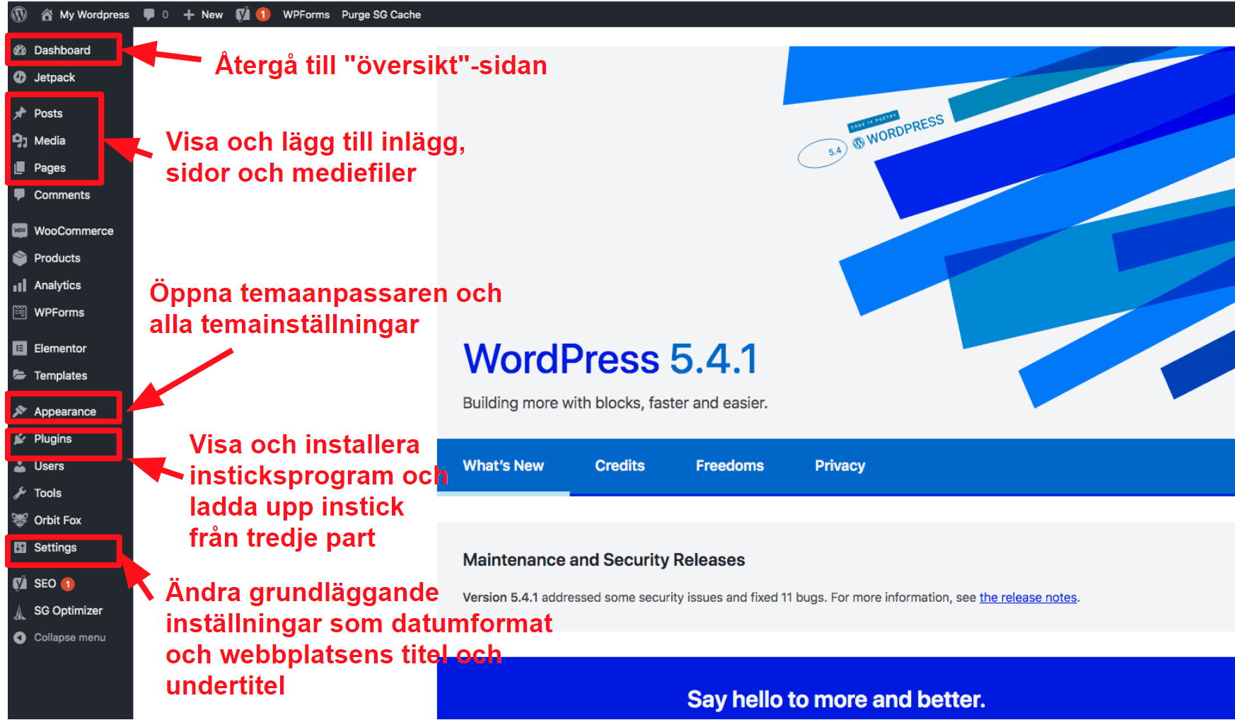 The WordPress dashboard SV16