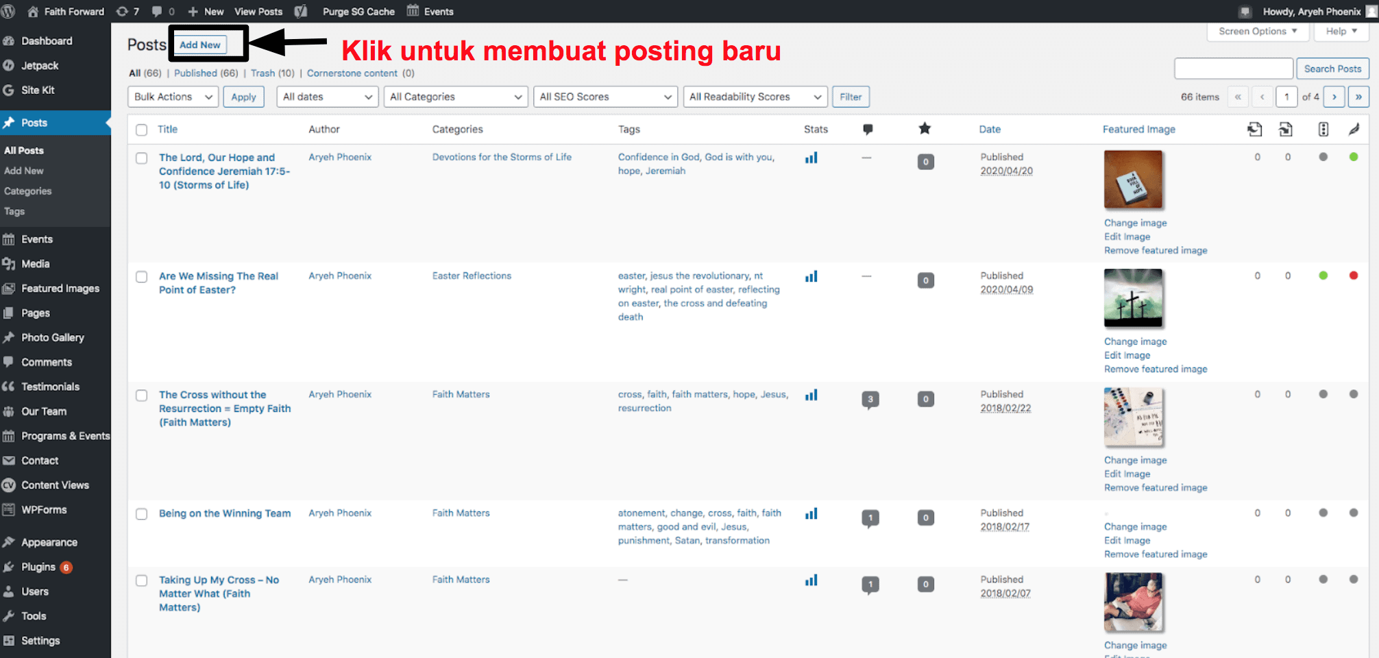 The posts panel in WordPress ID21