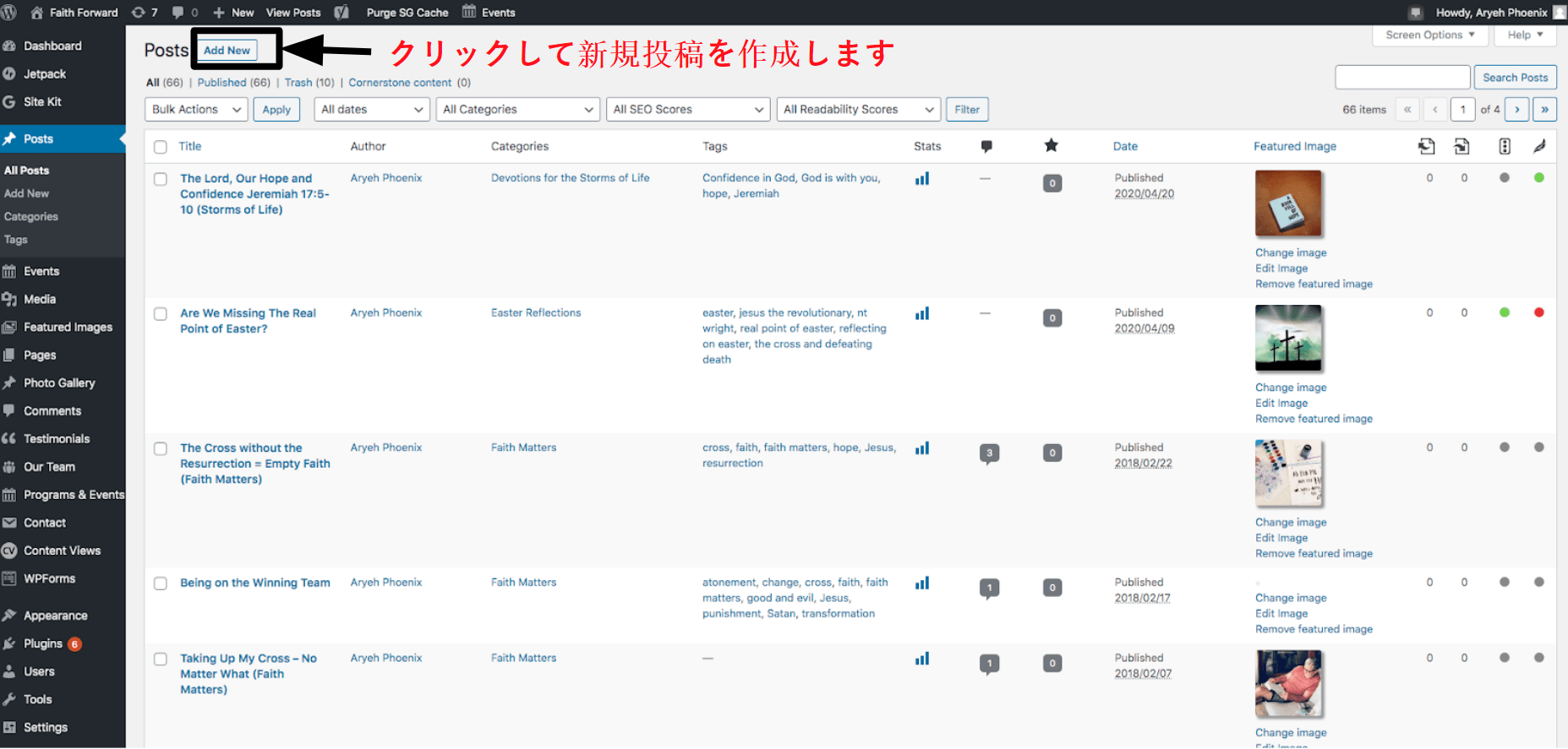 The posts panel in WordPress JA21
