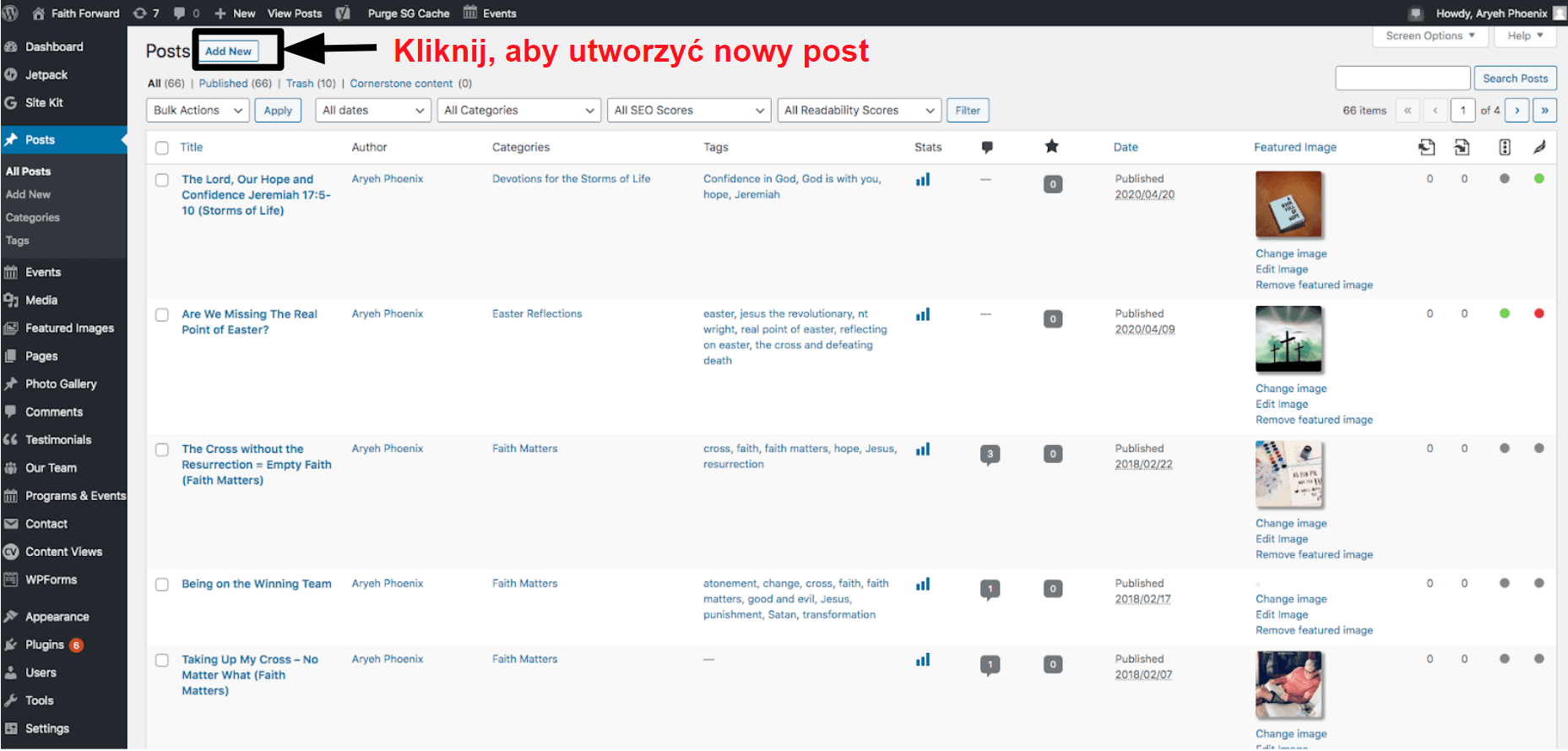 The posts panel in WordPress PL21