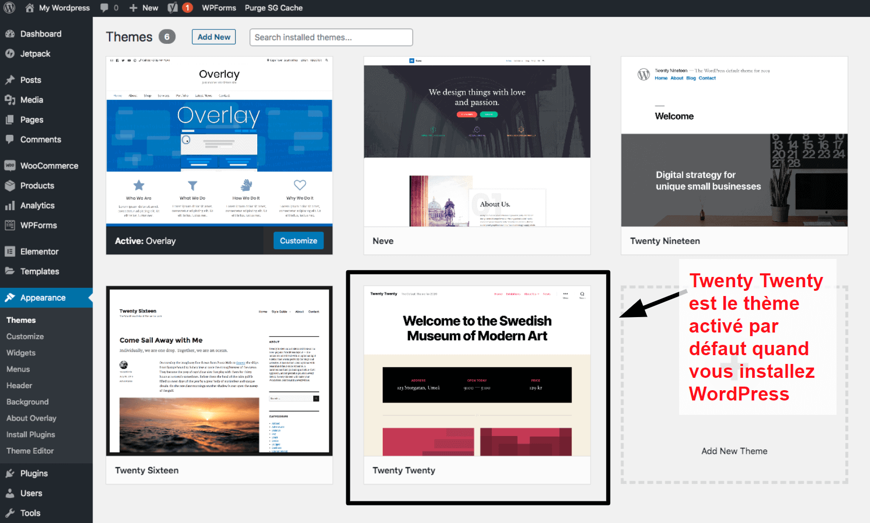 WordPress themes panel FR17